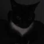 Harvey - @harvey_lott5555 - Instagram