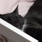 Harvey lott - @lottharvey0 - Instagram