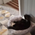 harvey lott - @lott_harvey - Instagram