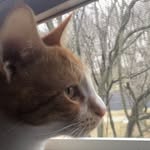 harvey milk 🐱 - @harveymilk_ - Instagram