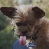 harveymilkbone - @harveymilkbone - TikTok