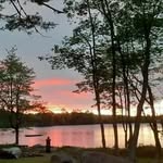 Kimberly Brewer - @harvey_morse - Instagram