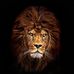 Harvey Nash - Facebook