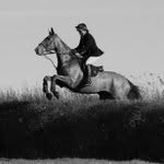 Caroline Harvey - @harveynix74 - Instagram