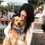 Harvey & Perry - @muttsandmom - Instagram