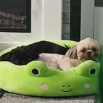 Harvey Perry - Facebook