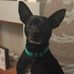 Harvey Plummer - Facebook