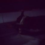Harvey Pollock - @hjp0002 - Instagram