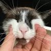HarveyJay - @harveypost - TikTok