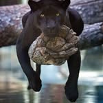 Harvey Power - @powerh - Instagram