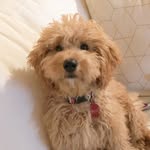 Harvey Power - @harvey_doods - Instagram