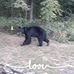 Harvey Powers - Facebook