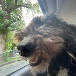 Harvey Read - @read.harvey - Instagram