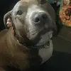 Harvey Reading248 - @harveyreading1 - TikTok