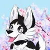 harveyreadtaylor - @harveyreadtaylor - TikTok