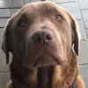 Harvey Reeves - @harvey.reeves - TikTok