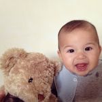 Harvey Samson - @ourfrontpaws - Instagram