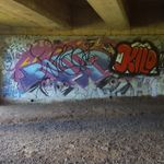 Harvey Shepherd - @harvshep - Instagram