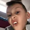 Harvey Shepherd - @harvey.shepherd1 - TikTok