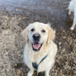 Harvey - @harvey__singleton - Instagram