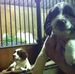 Harvey Springer - Facebook
