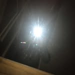 Harvey - @harvey_stanton158 - Instagram
