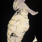 Harvey - @harvey_stanton - Instagram