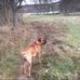Harvey Strang - Facebook