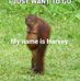 Harvey Stratton - Facebook