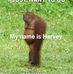Harvey Stratton - Facebook