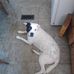 Harvey Stratton - Facebook