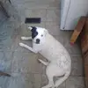 harveystratton51 - @harveystratton51 - TikTok