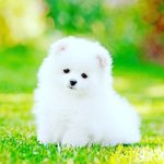 Harvey Sullivan - @harveysullivan24424 - Instagram