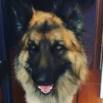 @harv_eythorne - Instagram