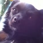 Harvey Todd - @harvey_toddy - Instagram