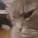 Harvey Townsend - Facebook
