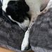 Harvey Unger - Facebook