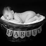Harvey Wall Banger - @harvey_wall_banger - Instagram