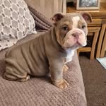 @harveywallbanger76 - Instagram