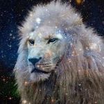 Walter Harvey - @walter.harvey - Instagram