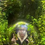 Harvey Wang - Facebook