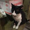 harveywang355 - @harveywang355 - TikTok