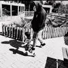 Harvey Ware - @harvey__lee - TikTok