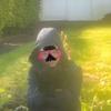 Harvey Warner - @harvey.warner4 - TikTok