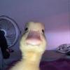 Vyzefn- - @harvey_watt - TikTok