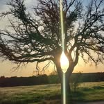 Harvey Weaver - @harbruwe - Instagram