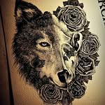 harvey weaver - @sea_creature06 - Instagram