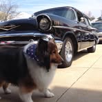 Harvey Webb - Facebook