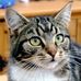 Moira Westfall-harvey - Facebook
