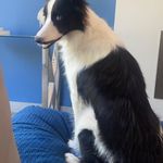 Harvey Wilcox - @harveywilcox27 - Instagram